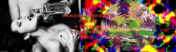 прущая мука Балахна