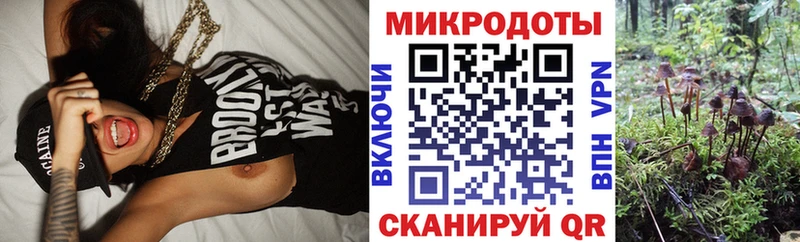 Псилоцибиновые грибы Cubensis магазин Белозерск